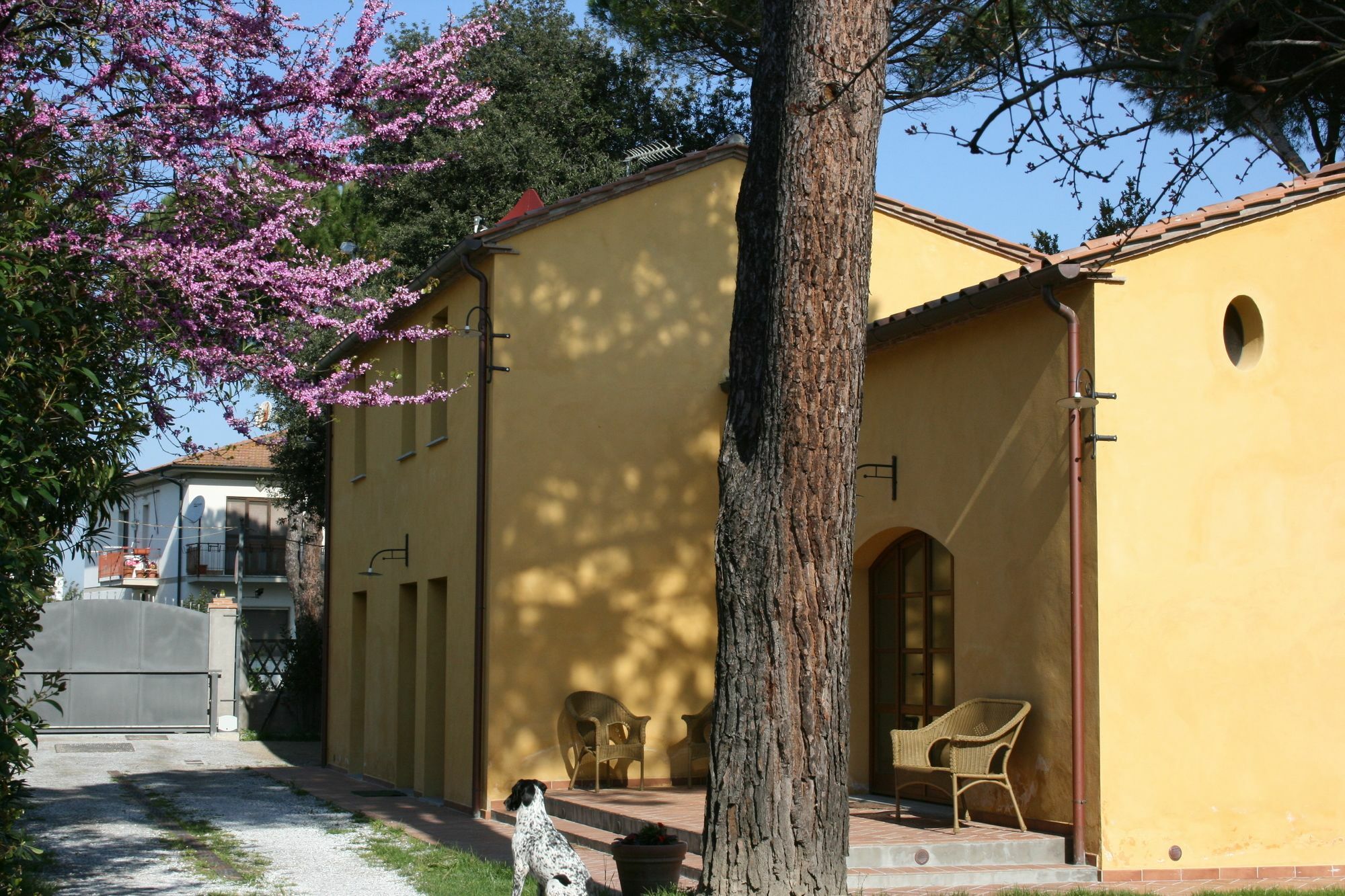 Pisa Holidays Arena Metato Exterior photo